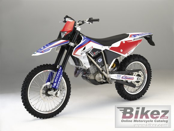 2010 BMW G 450 X photo